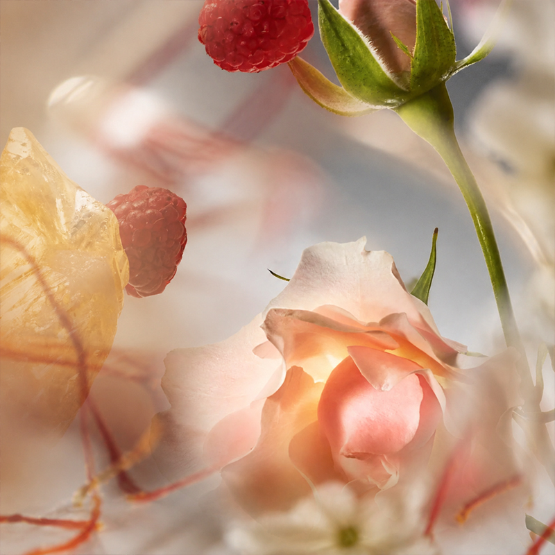 Home Perfume