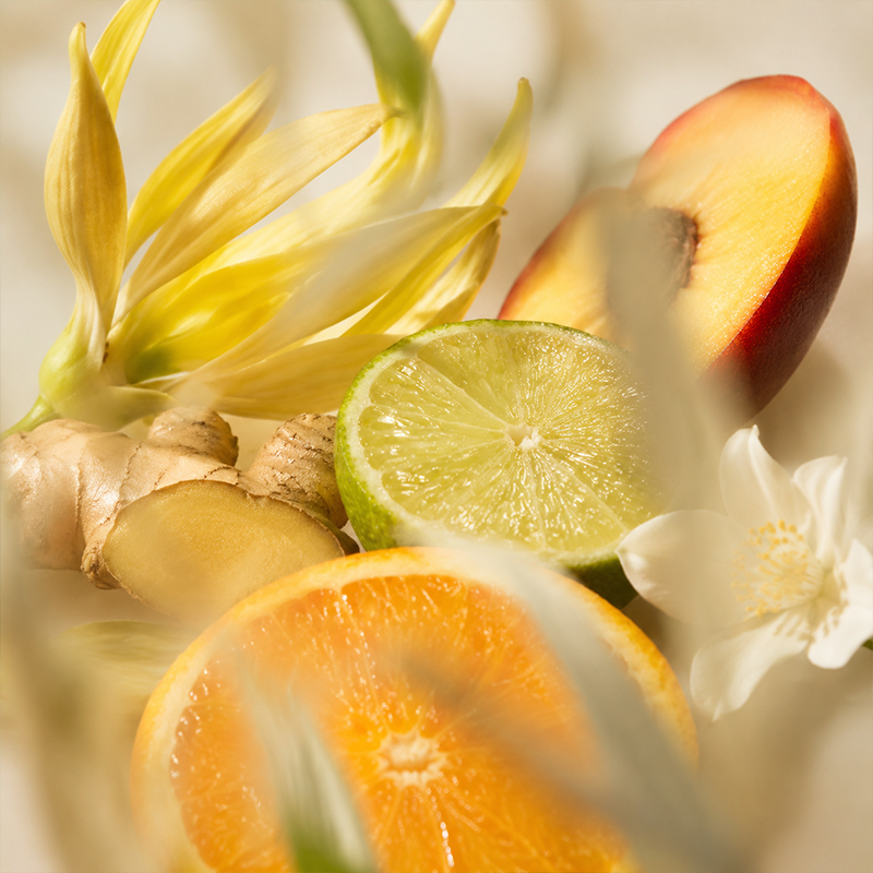 Home Perfume 