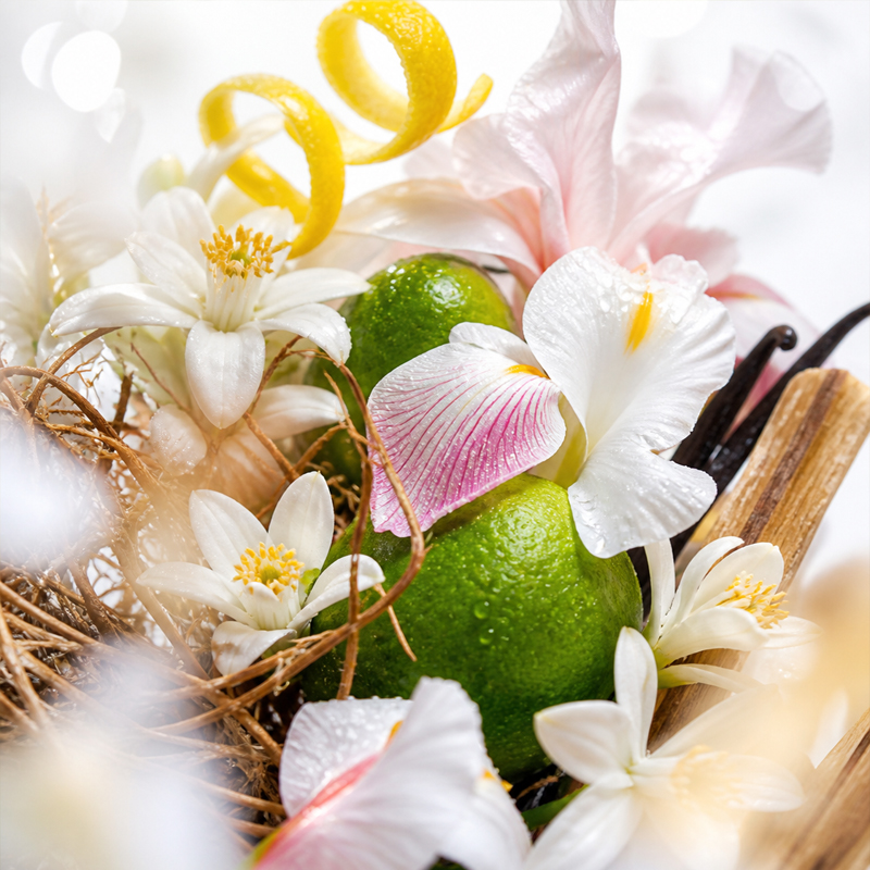 Home Perfume