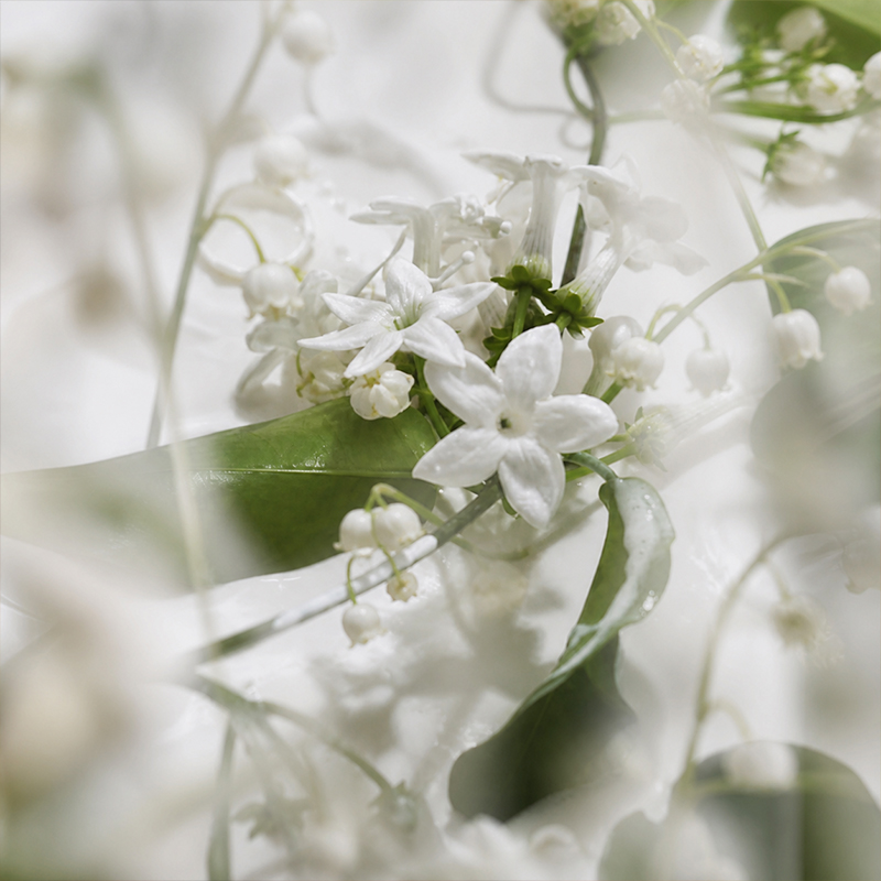 Home Perfume