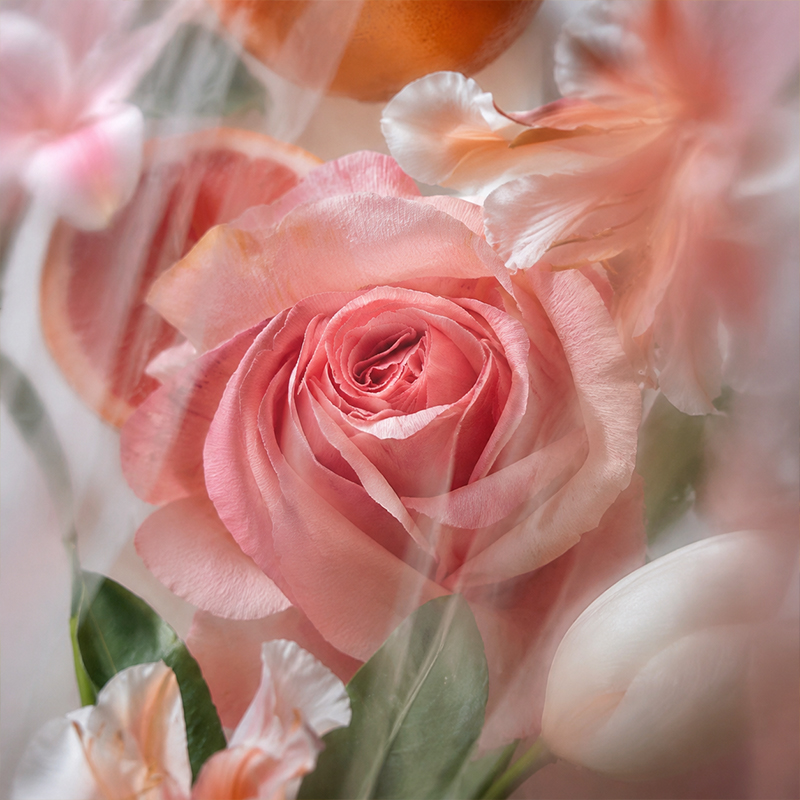 Home Perfume